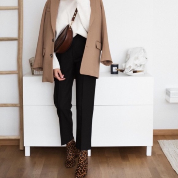 Zara Pants - ZARA Bloggers Fave HR Pleated Trousers | M